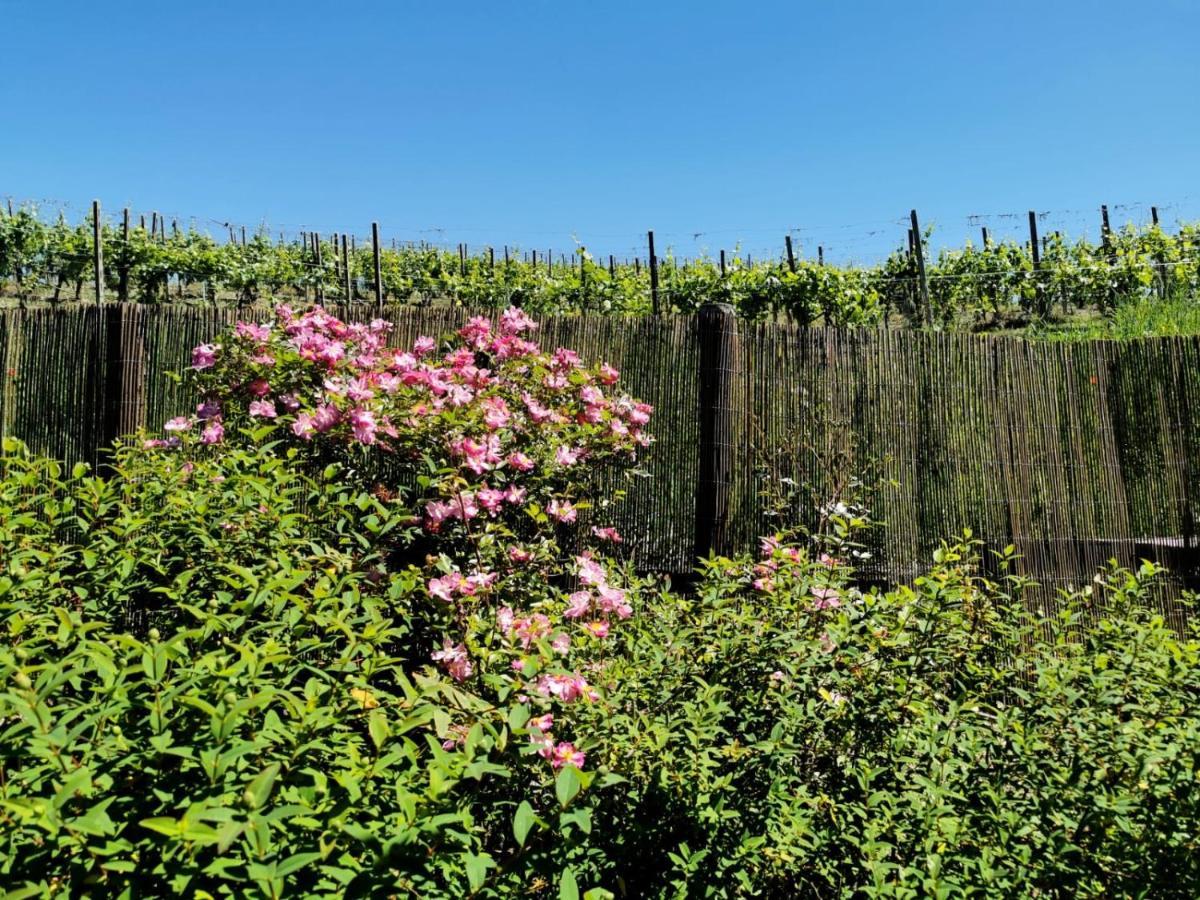Borgo Priolo B&B Casa Percivalle المظهر الخارجي الصورة
